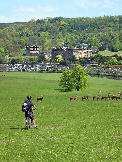 Chatsworth House across parkland with grazing deer and a distant walker