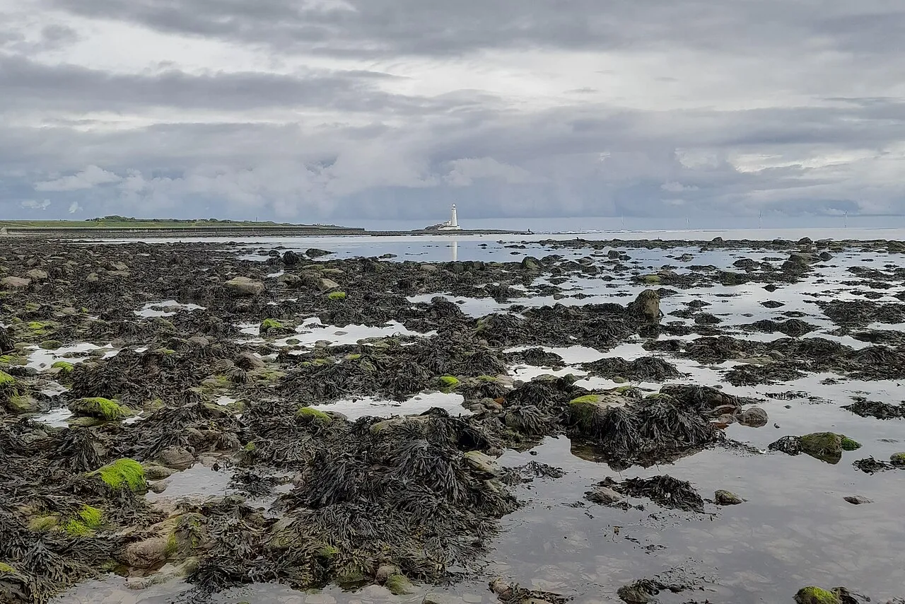 St Mary’s lighthouse beyond the rock pools on the Whitley Bay coast